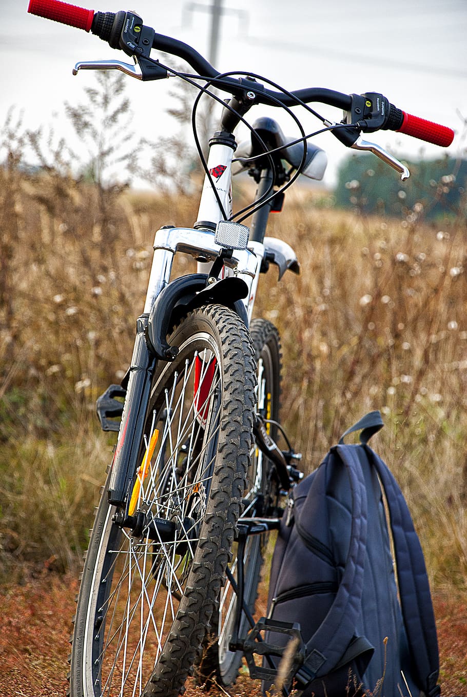 fahrradtour, straße, weg, fahren, land vehicle, bicycle, mode of transportation