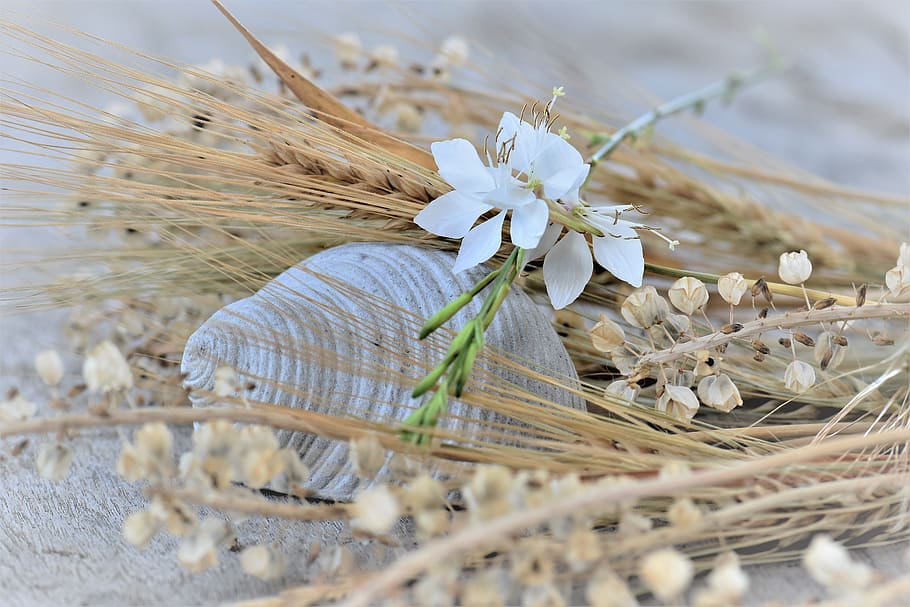 Deco, Table, Decoration, table decorations, decorative, flowers HD wallpaper