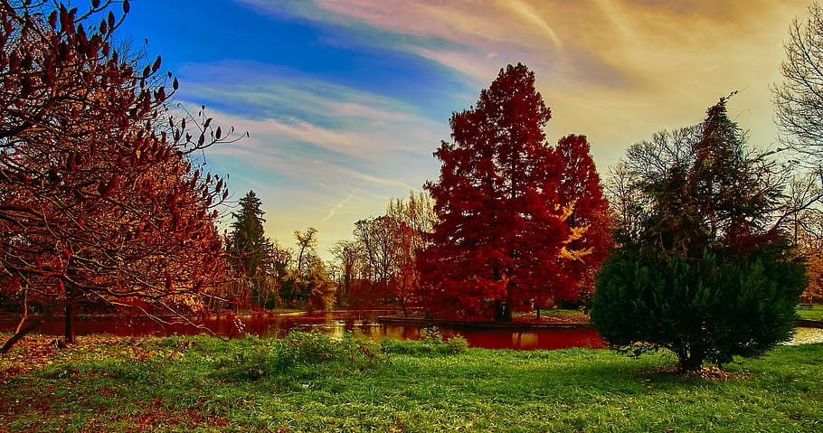 green grass field, romania, sky, clouds, landscape, scenic HD wallpaper