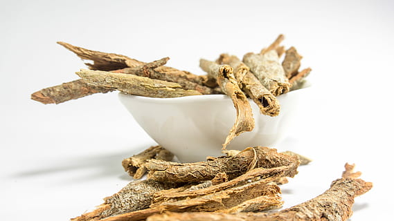 wood on white ceramic bowl, Dried, Cassia, Bark, Table, dried cassia HD wallpaper