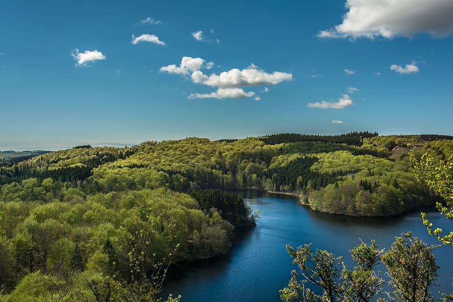 aerial view of river surrounded by trees, aerial photography of river in between tall trees under white clouds and blue sky HD wallpaper