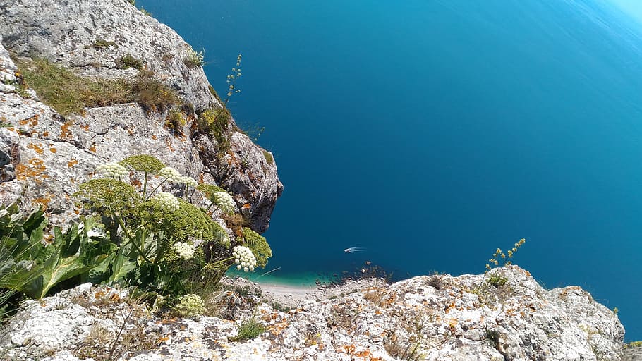 Crimea, Lost, World, sea, rock - object, nature, sea life, no people HD wallpaper