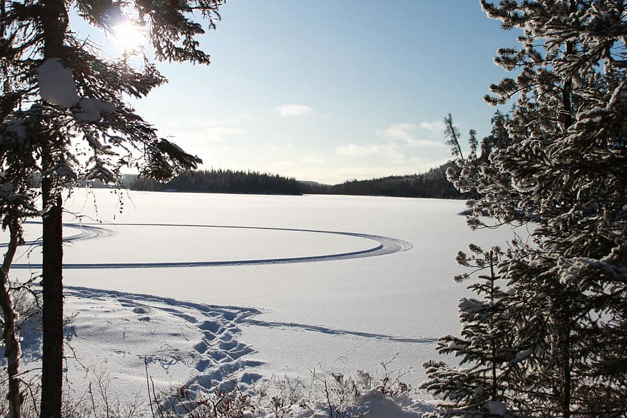 Winter, Tree, Landscape, Cold, Sky, forest, snowfall, scenic HD wallpaper