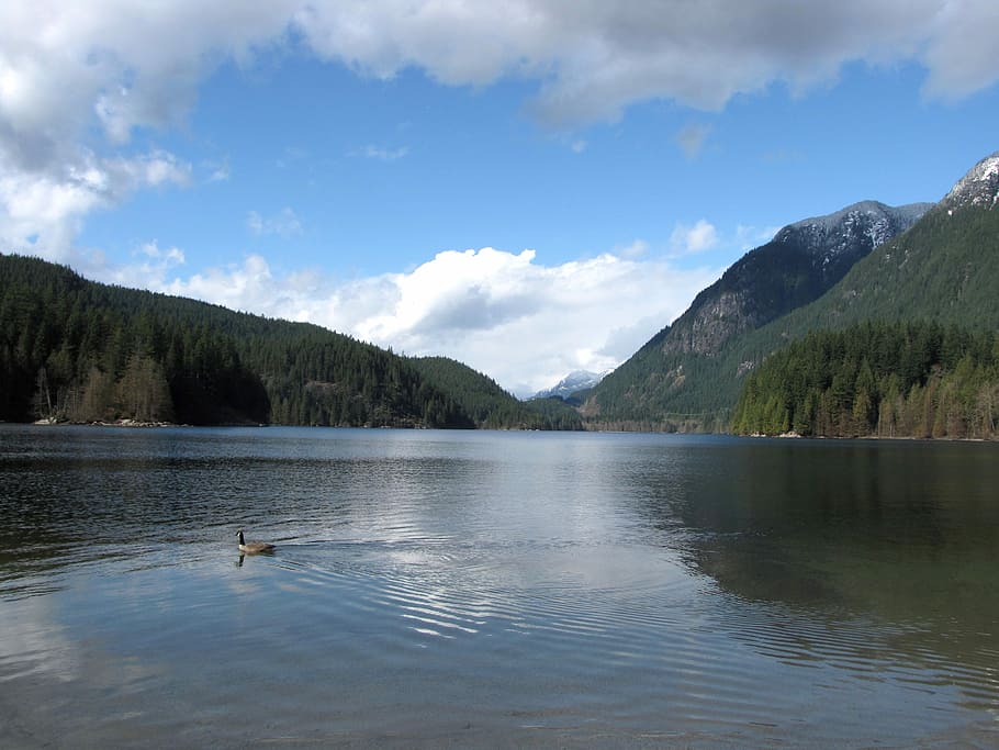 british columbia, buntzen lake, reflection, sky, cloud, nature, HD wallpaper