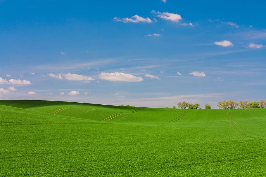 green grass field during cloudy day, grassland, mountain, landscape HD wallpaper