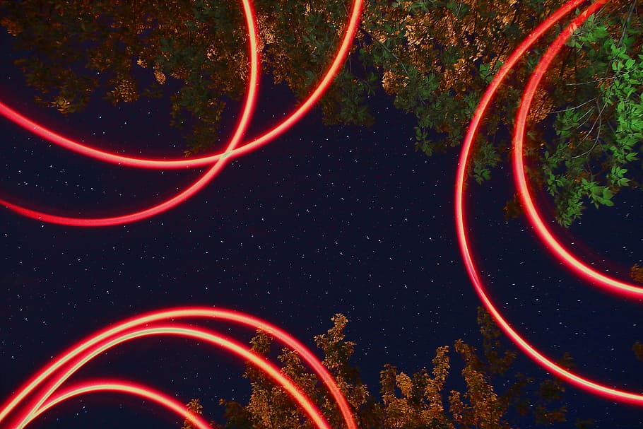 low-angle photography of green trees at nighttime, forest, light HD wallpaper