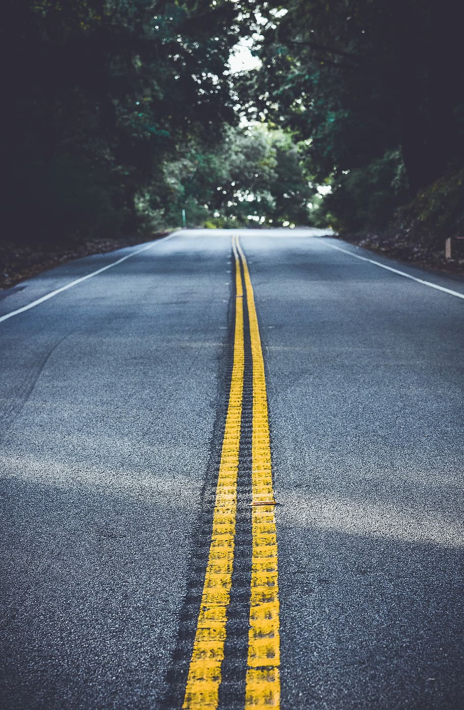 HD wallpaper: road between trees, landscape photography of road, empty road  | Wallpaper Flare