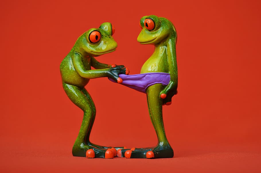 frogs, curious, funny, figures, cute, underpants, look, curiosity HD wallpaper