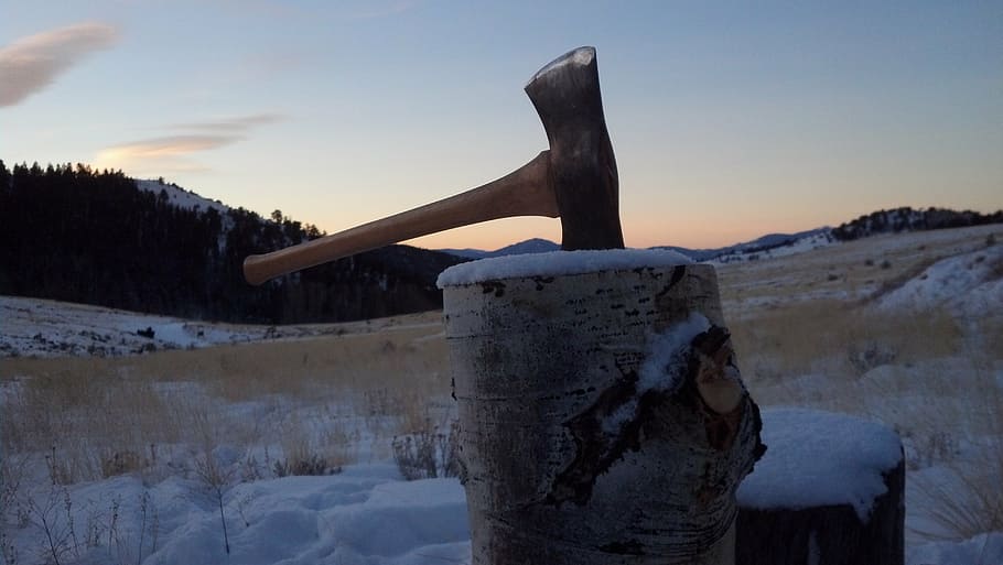 axe, sunrise, split wood, stump, snow, dawn, firewood, off grid