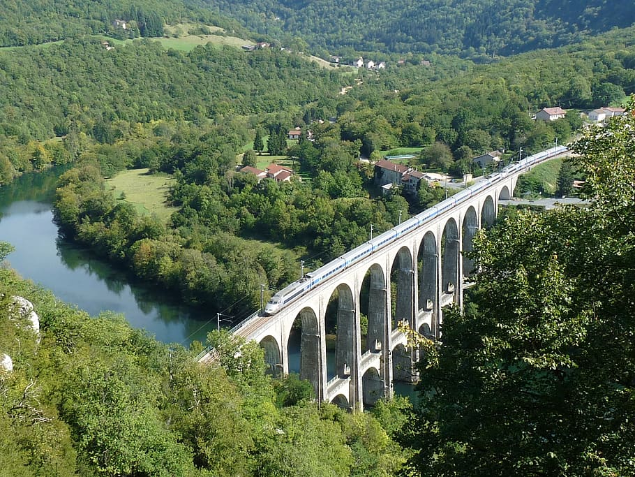 viaduct, river, train, bridge, plant, tree, built structure HD wallpaper