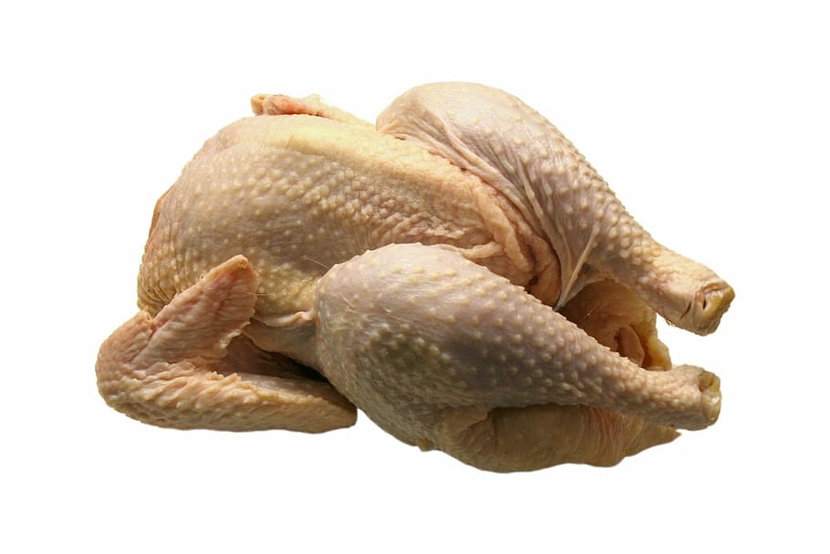 chicken meat, broiler, animal, food, seafood, white background