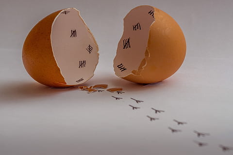 cracked empty egg with bird footprints on white surface, food HD wallpaper