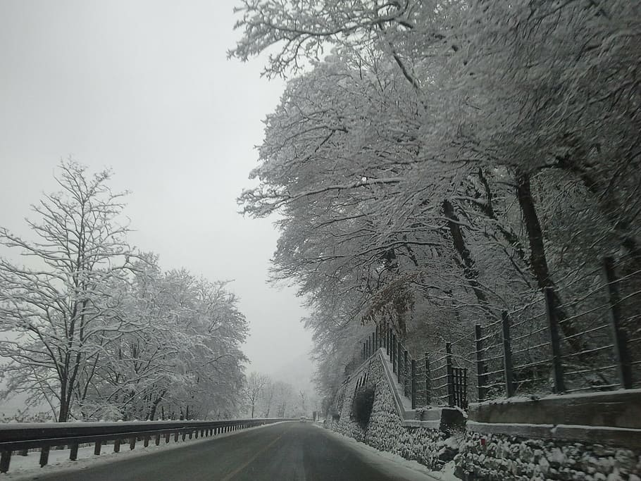 snow, road, asphalt, winter, tree, nature, cold - Temperature HD wallpaper