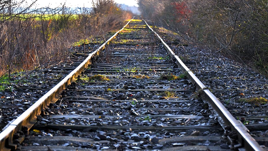 tracks, abandoned, rot away alongside, rail transportation HD wallpaper