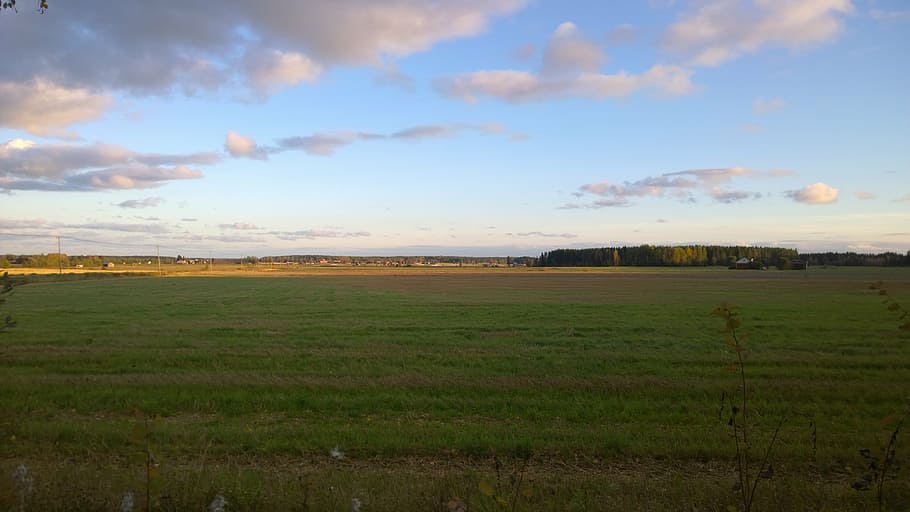 field, sky, summer, nature, landscape, green, grass, day, outdoor HD wallpaper