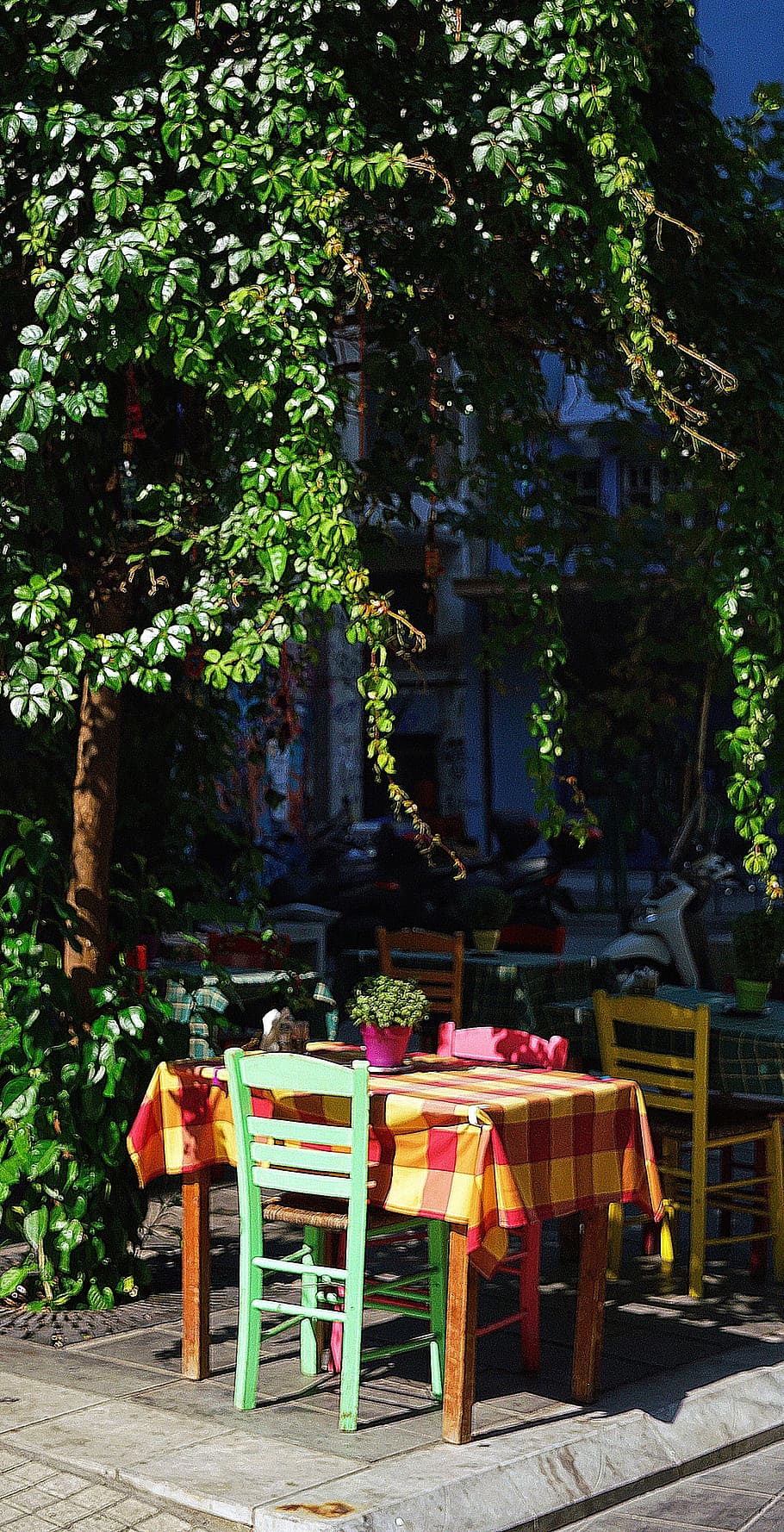 restaurant, outdoor, dining, table, chairs, greece, seat, plant HD wallpaper