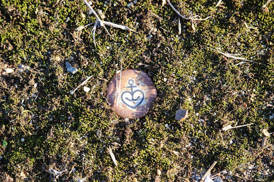 moss, bottle caps, old, antique, weathered, rusty, plant, no people HD wallpaper