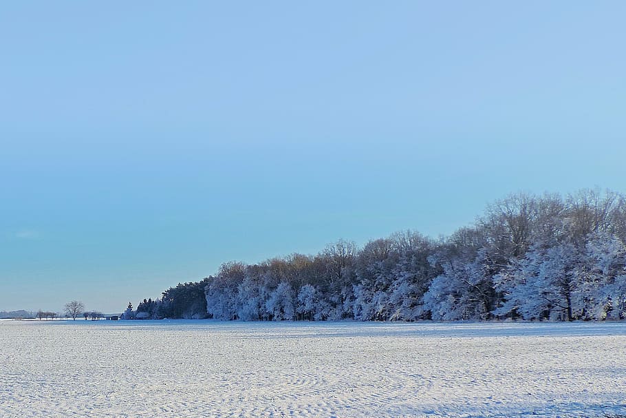 landscape, trees, winter impressions, wintry, snow, cold, winter magic HD wallpaper