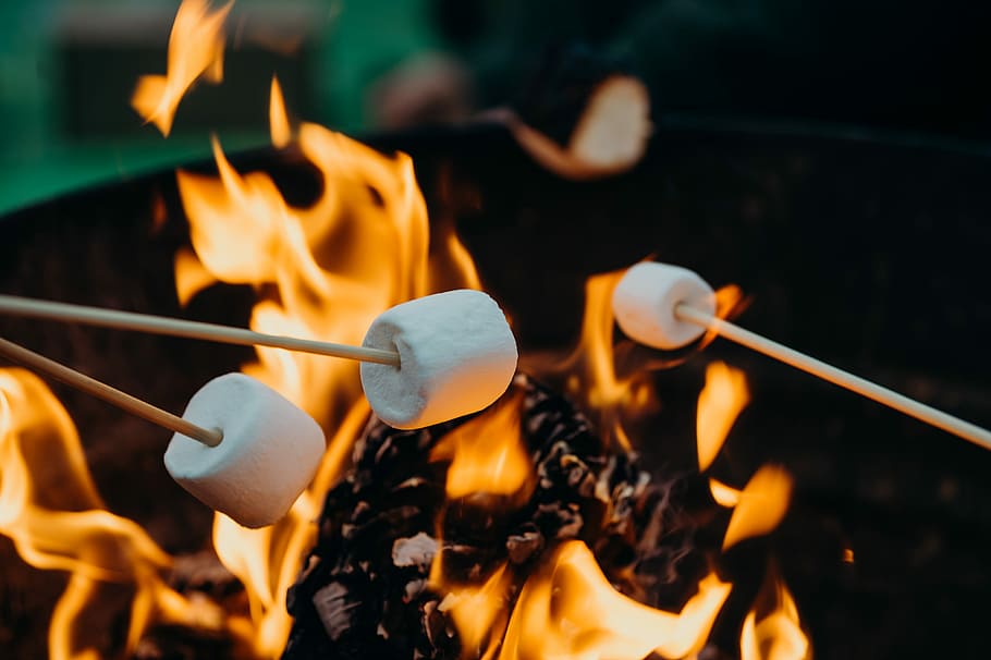 selective focus photography of marshmallows on fire pit, person grilling mallows on stick