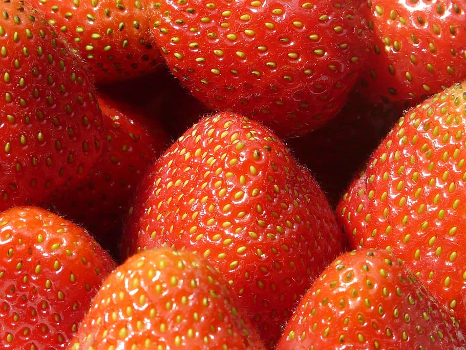 Strawberries, Fruity, Fruits, Sweet, red, delicious, food, fragaria, HD wallpaper