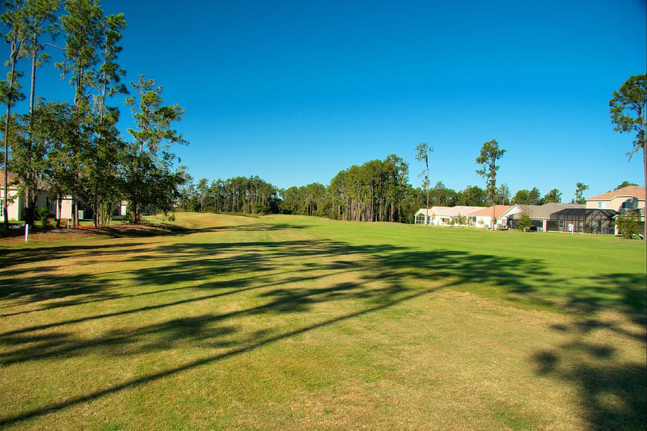 green grass field under blue sky at daytime, Florida, Golf Course, HD wallpaper
