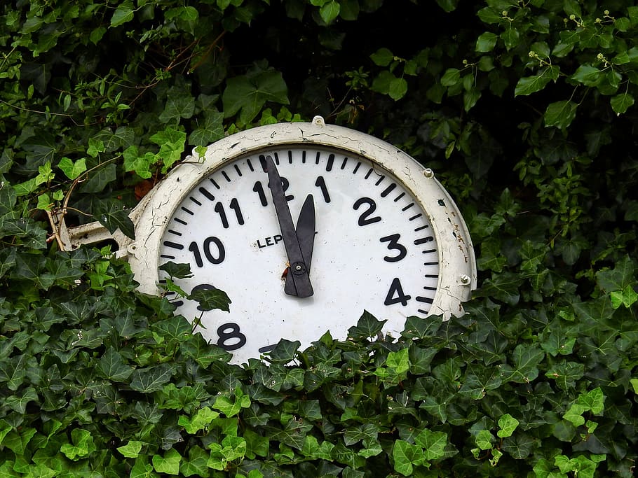 clock, time, time indicating, time of, clock face, analog, old HD wallpaper