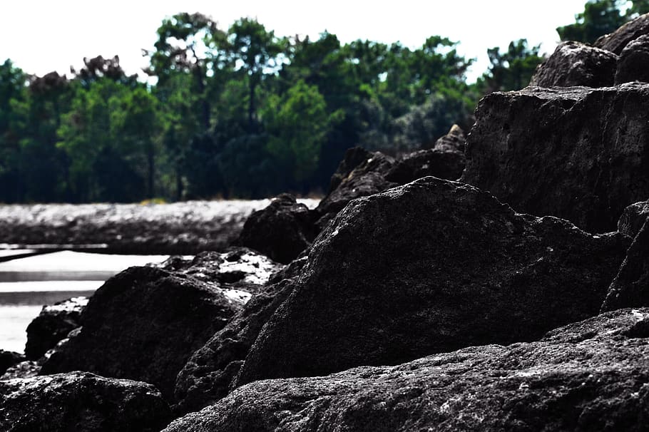 nature, beach, oléron, tree, forest, rock, solid, day, rock - object HD wallpaper