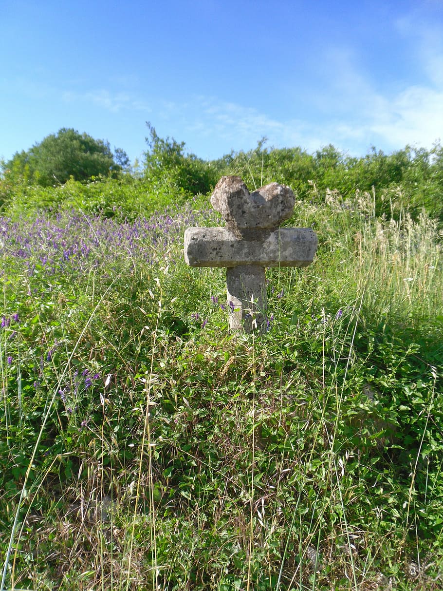 cross, pierre, heart, plant, growth, sky, field, grass, land HD wallpaper