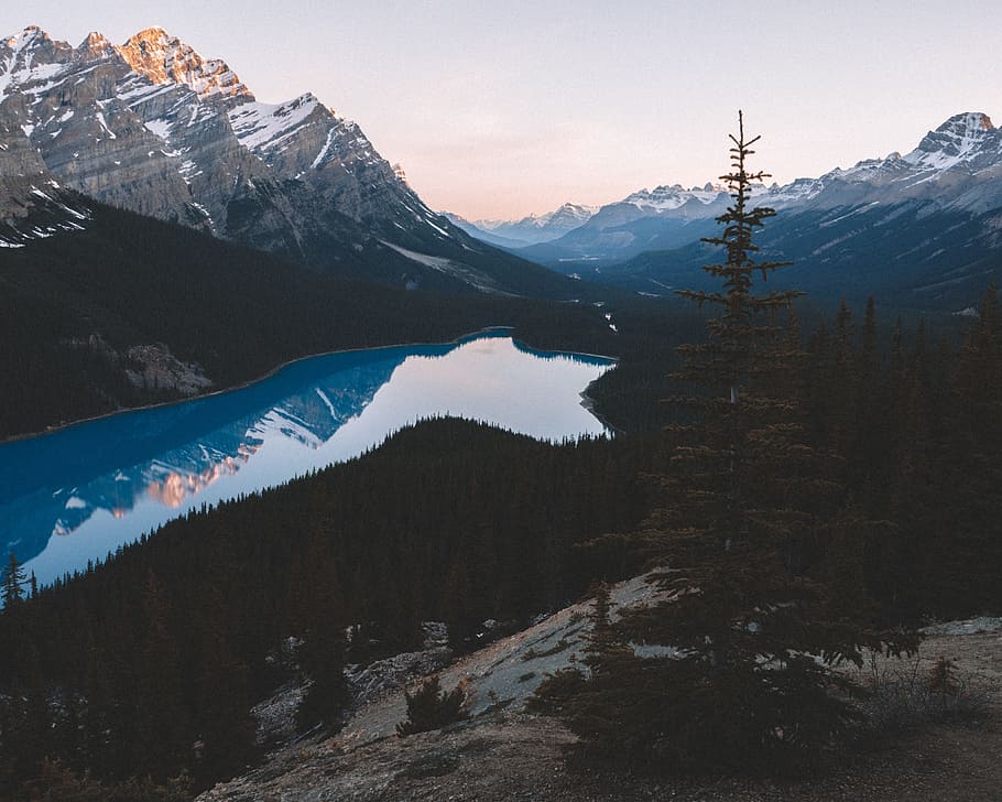 lake, water, reflection, trees, plant, forest, mountain, summit HD wallpaper