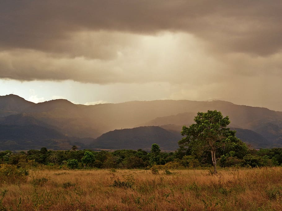 sunset, mountains, tree, landscape, colombia, plant, sky, cloud - sky HD wallpaper