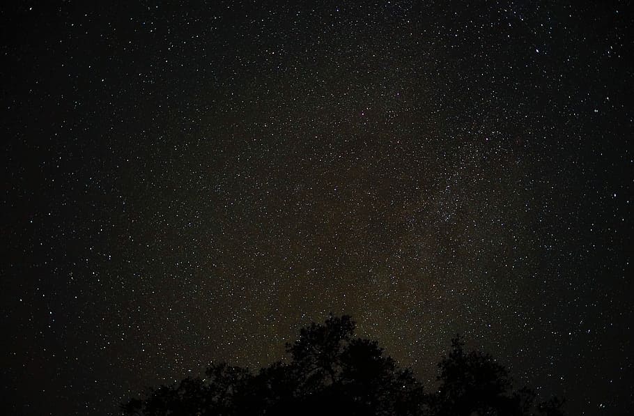 silhouette photo of trees with wide sky of stars, galaxy, planet HD wallpaper
