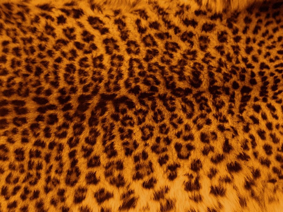 brown and black leopard pattern illustration, skin, fur, print, HD wallpaper