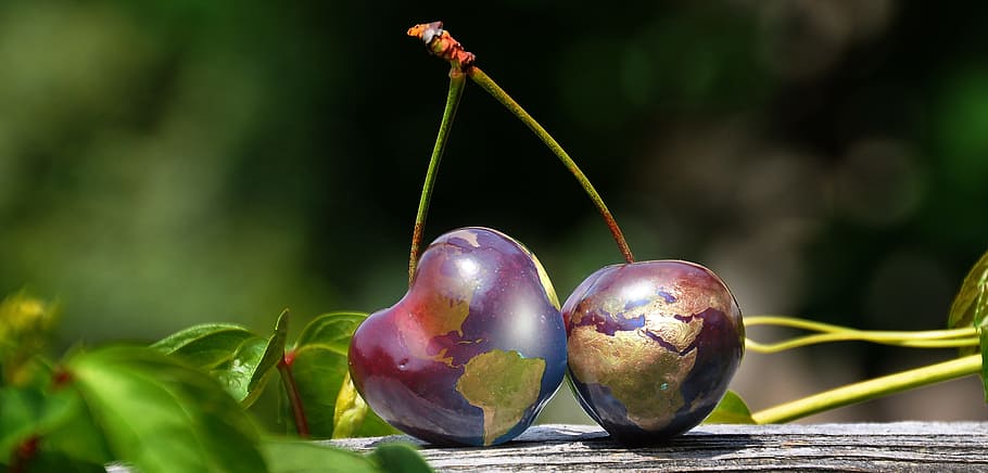 shallow focus photography of cherries, globe, world, earth HD wallpaper