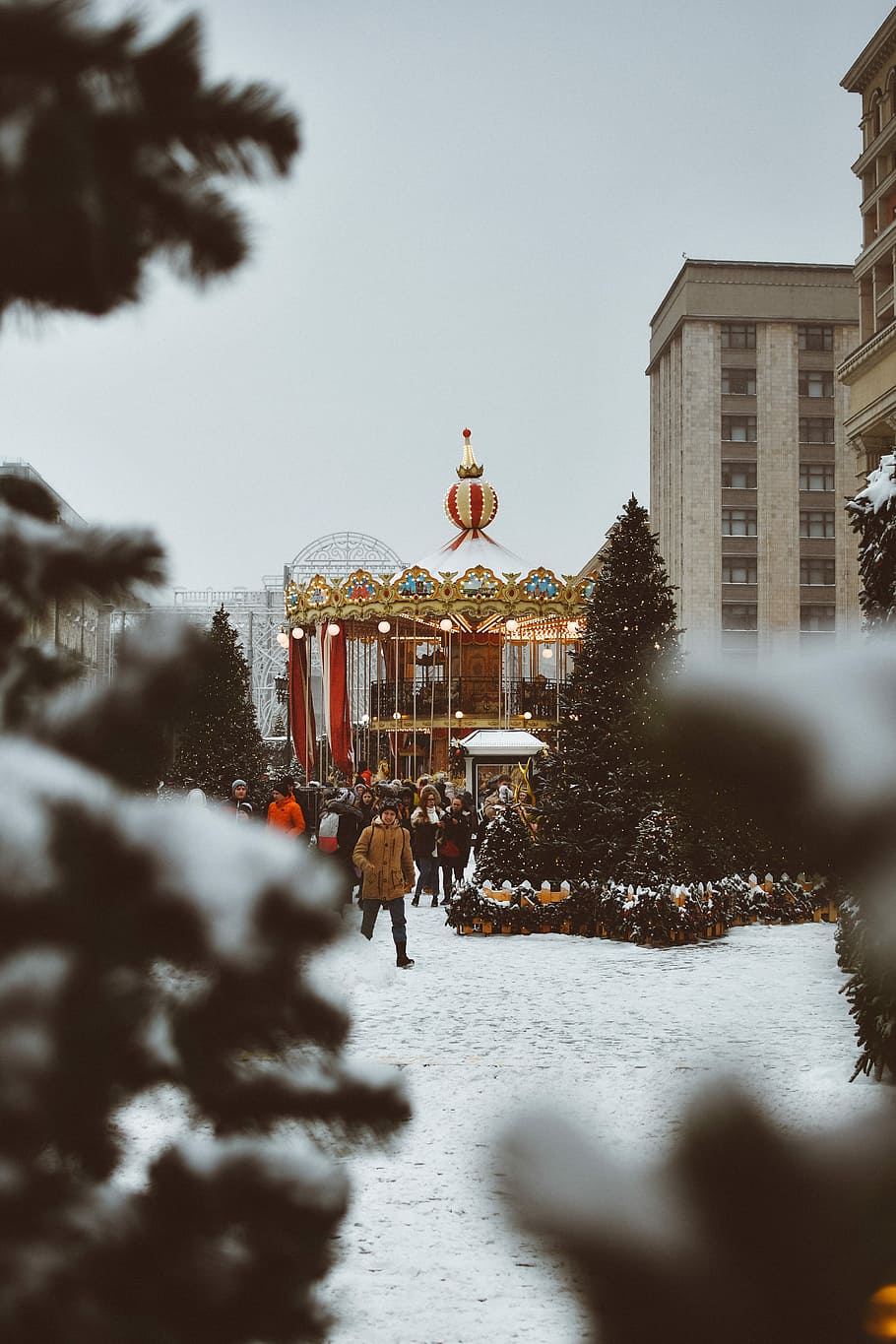people walking between two giant christmas trees, green trees with snow HD wallpaper
