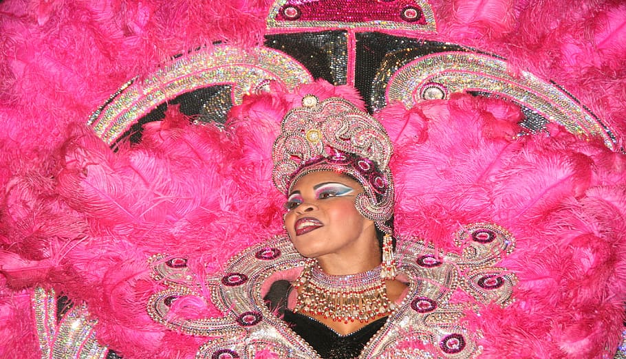 lady, samba, brazil, pink feathers, carnaval, cultures, people, HD wallpaper