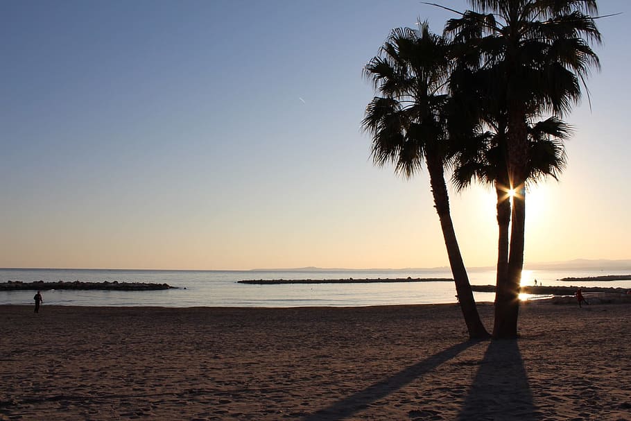 sun, beach, palm, water, sea, sky, land, tree, sunset, tranquility HD wallpaper