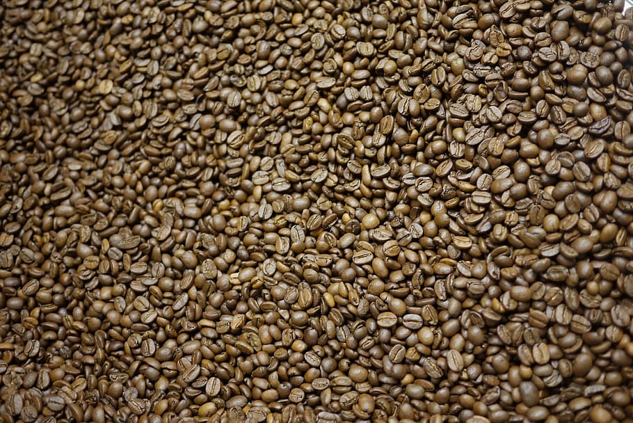 coffee beans, roasted, brown, caffeine, café, drink, breakfast HD wallpaper