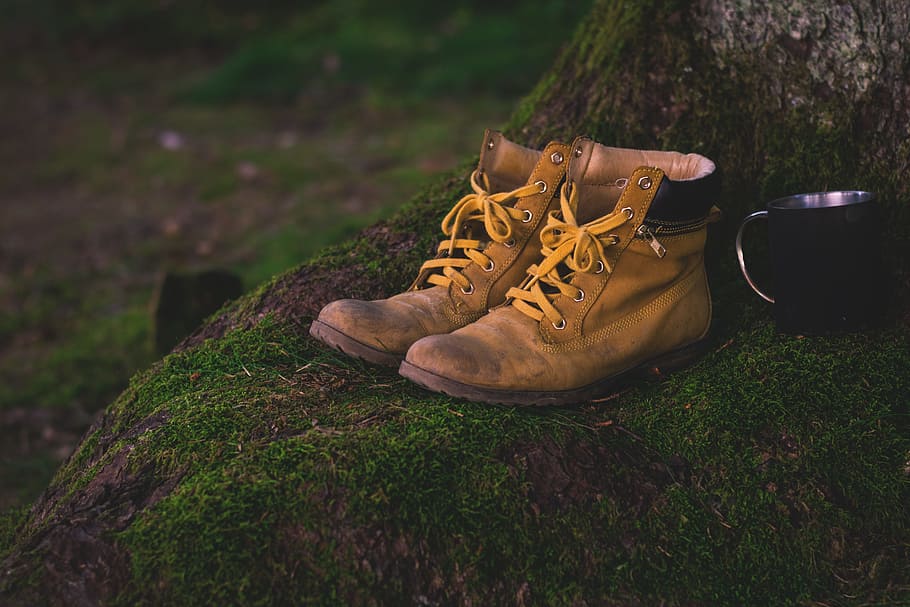 pair of brown Timberland leather boots on tree base, shoes, hiking shoes, HD wallpaper