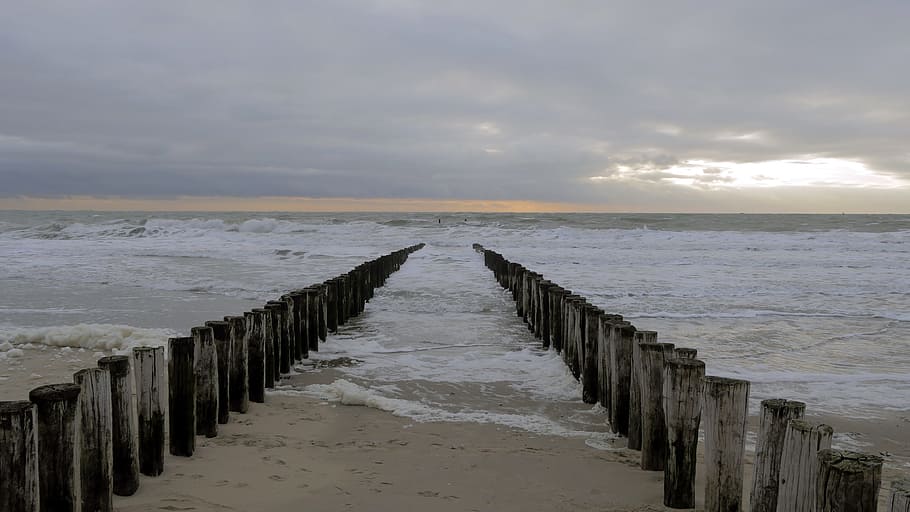 seashore with wooden posts, Holland, Bollard, Sea, Water, Beach