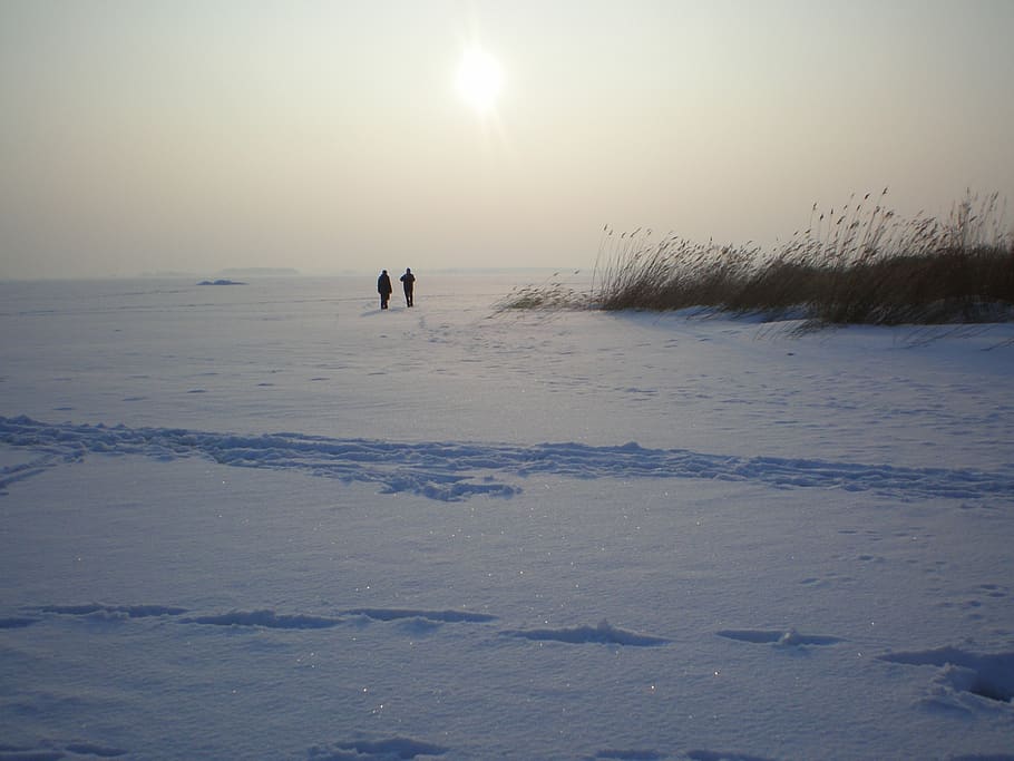 winter trip, ice on the eighth water, island of usedom, backlighting