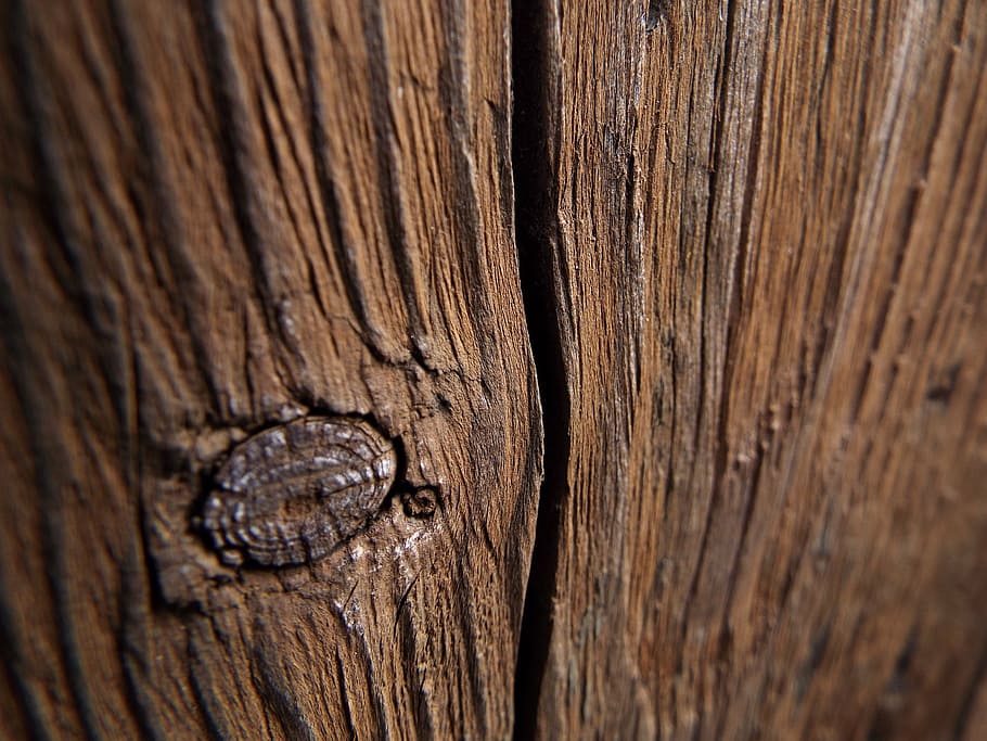 wallpaper, background, structure, wood, brown, backgrounds HD wallpaper