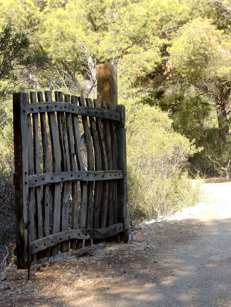 Goal, Gate, Input, Fence, Door, Old, forward, passage, one animal HD wallpaper