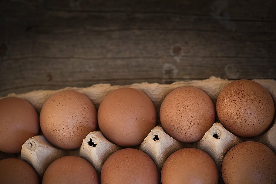 close view of tray native eggs, chicken eggs, egg box, pack HD wallpaper