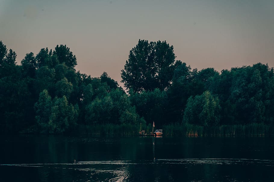 green, plant, trees, forest, lake, water, boat, travel, outdoor HD wallpaper