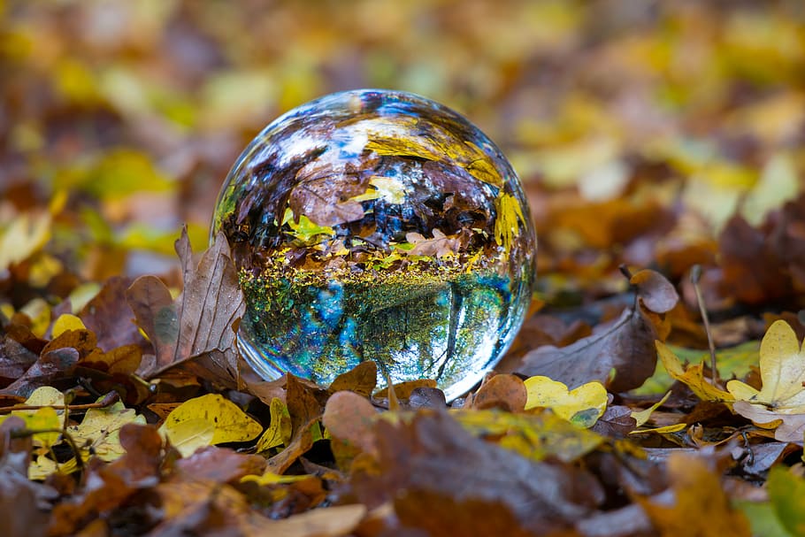crystal ball surrounded by dried leaves, autumn, glass ball, fall foliage