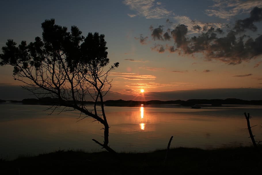 sunset, tree, sea, silhouette, calm, quiet, norway, nature HD wallpaper
