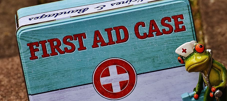 teal and white First Aid case, frog, medic, nurse, funny, box HD wallpaper