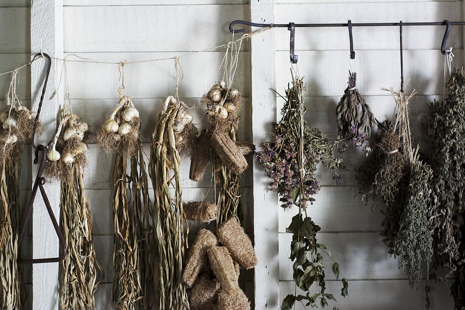 assorted plants hanging on white and black metal hook, hanging garlic cloves and plants HD wallpaper