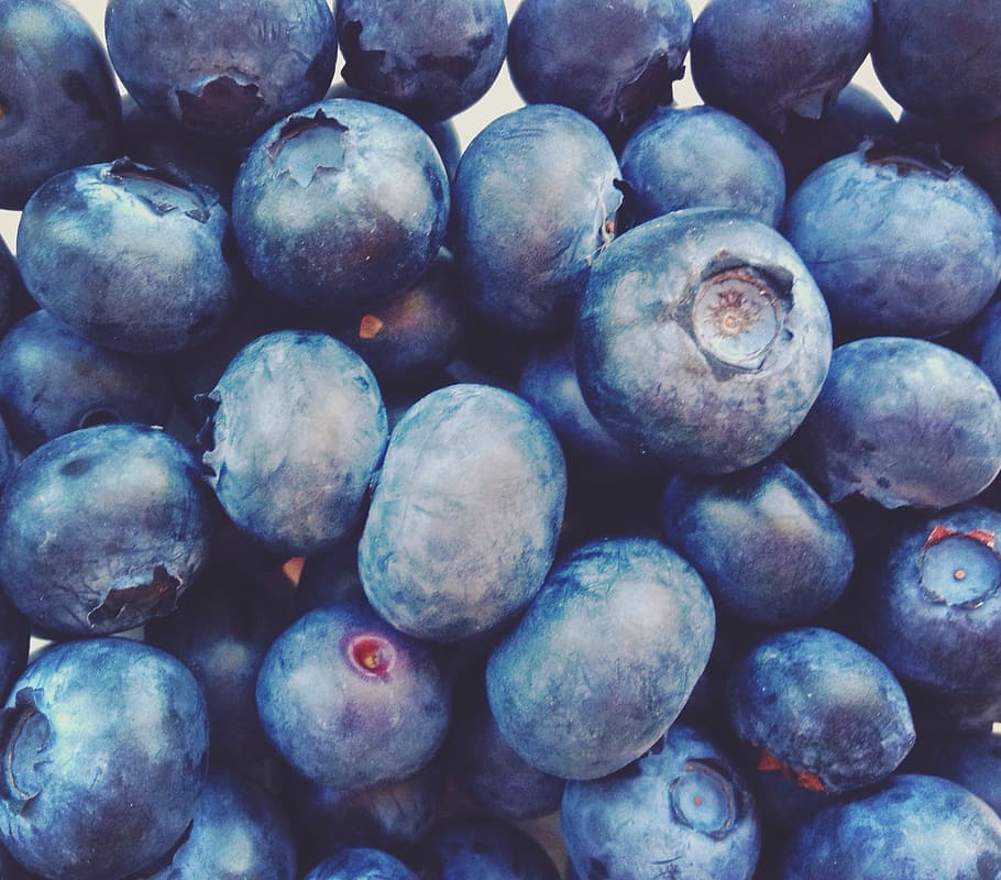 blue, berry, blueberries, healthy eating, wellbeing, food and drink HD wallpaper