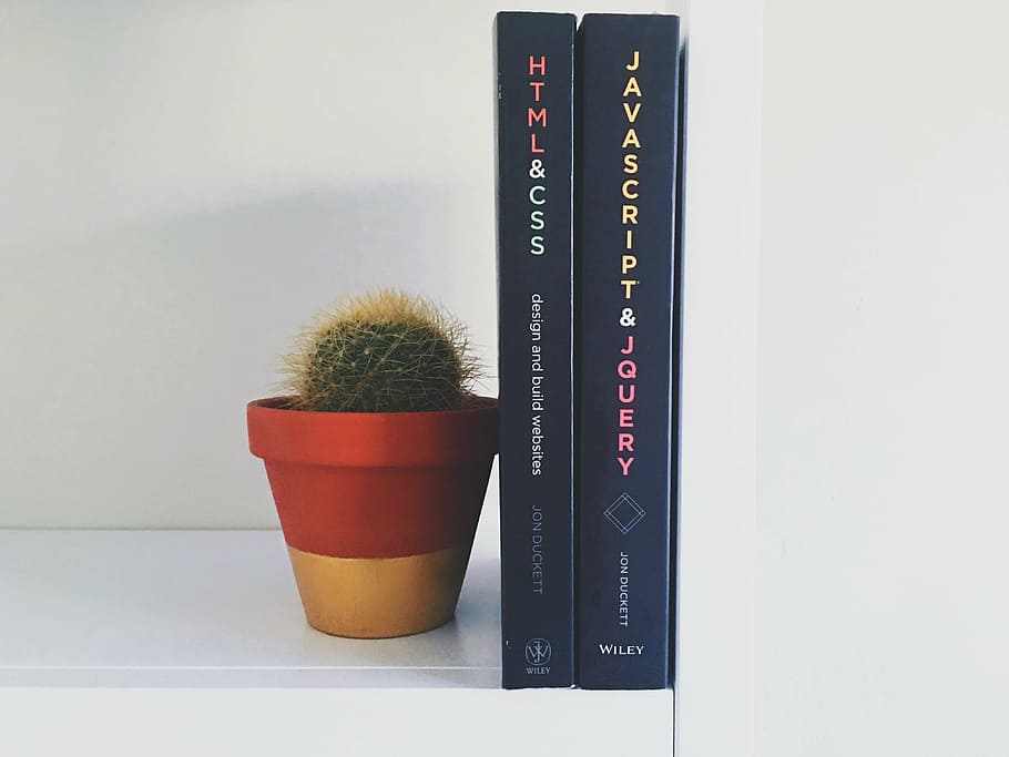two black covered book beside green cactus, plant, html, css